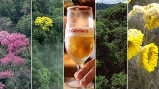 Imágenes de biodiversidad y de cerveza Águila en Colombia