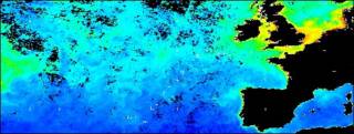 Imagen satelital, cortesía de NEODAAS.