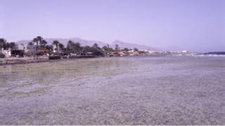 سيناء