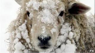 De fortes chutes de neige en Europe.