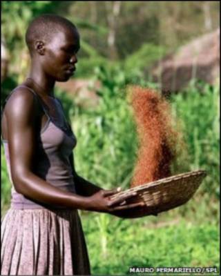 Mulher prepara alimentos em Uganda