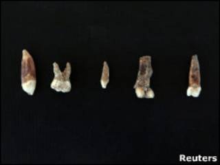 Fósseis de dentes encontrados na caverna de Qesem
