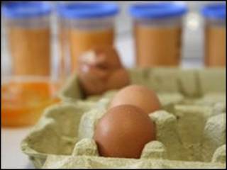 eggs