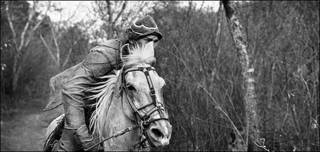 Vaqueros de las Américas © Luis Fabini