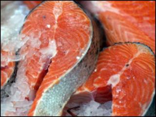 salmon