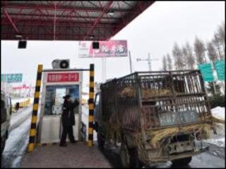 公路收費站(新華社圖片)