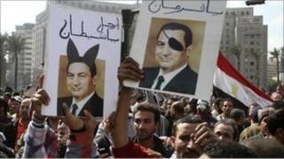 احتجاجات مصر