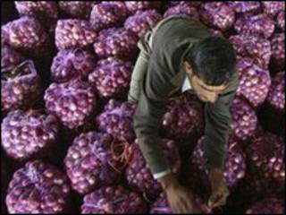 انبار پیاز