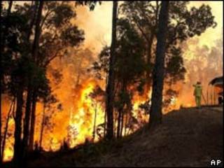 Wutar daji ta rusa gidaje 59 a Australia