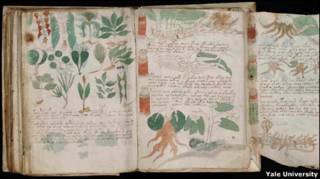 Manuscrito Voynich (Foto: Beinecke Rare book and Manuscript LIbrary, Yale University