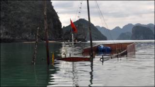 Tàu du lịch bị chìm ở Hạ Long hồi tháng Hai