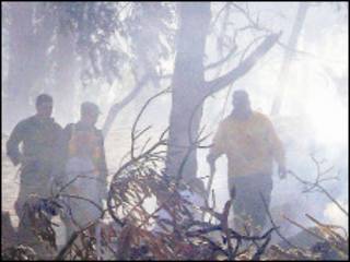Incêndio na cidade de La Paloma, no Uruguai