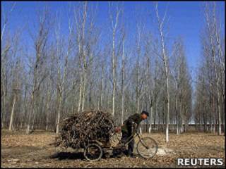 Camponês na China