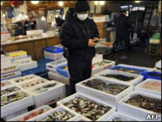 日本築地魚市場
