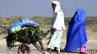پناهجویان افغان در پاکستان