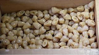 Caja de dientes postizos