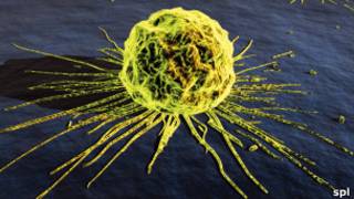 Célula cancerígena