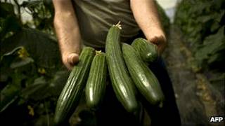Pepinos