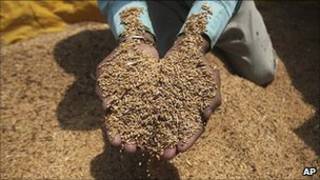 樂施會報告預測說,到2030年,世界主要糧食的平均價格將上漲120%至180%。