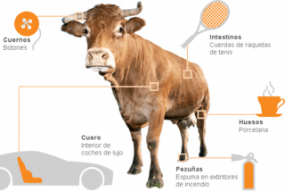 Gráfico de las partes reutilizables de una vaca