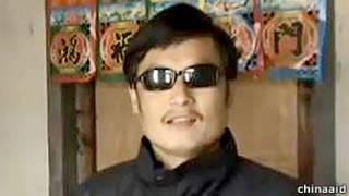 陈光诚