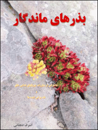 جلد کتاب اشرف دهقانی