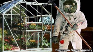 Astronauta jardinero