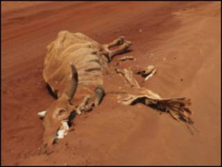 Ukame Somalia