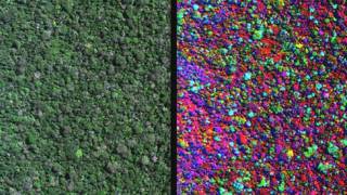 Mapa de la Amazonia peruana obtenido con CAO II Foto: gentileza Greg Asner/Universidad de Stanford