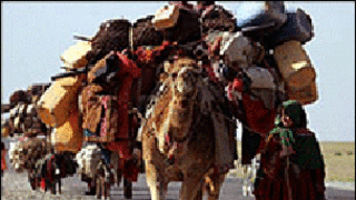 کوچی ها، عکس از بایگانی