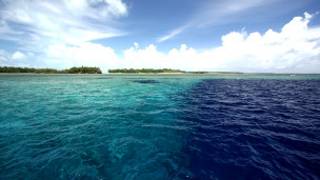 Vùng biển Palau