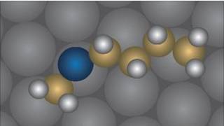 la molécula usada en el experimento