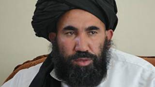ملاضعیف