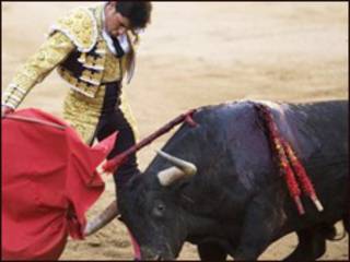 bullfighting