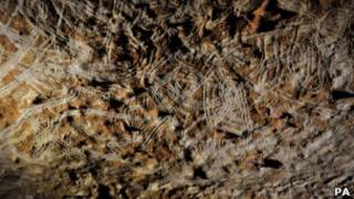 Gravuras em caverna de Rouffignac (PA)