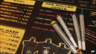 Maconha de alta potência vendida em cafés holandeses