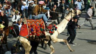 موقعة الجمل