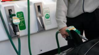 gasolina