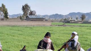 وانا (فائل فوٹو)