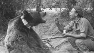el oso boot polish