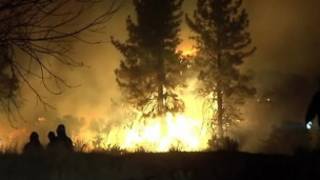 Kebakaran hutan di Nevada AS