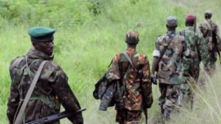 inyeshamba zo muri Congo