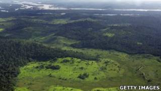 Amazonas