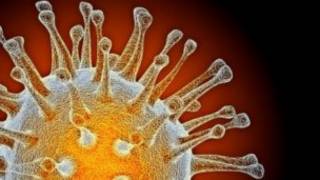 H5N1