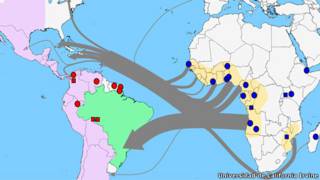 Ruta de malaria (Univ. California, Irvine)
