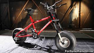 bicicleta Hanebrink