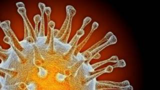 Virus H5N1