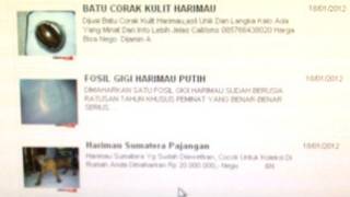 Penjualan melalui internet