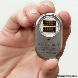 Микрочип