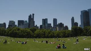 Central Park - Foto: BBC